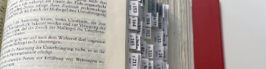 Schmuckgrafik Dürckheim Griffregister