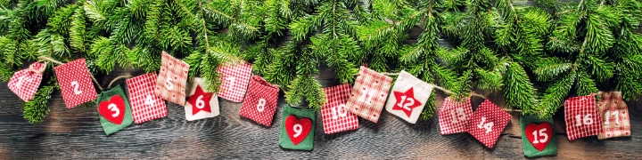 Schmuckgrafik Adventskalender vor Tannenzweigen und Holzwand