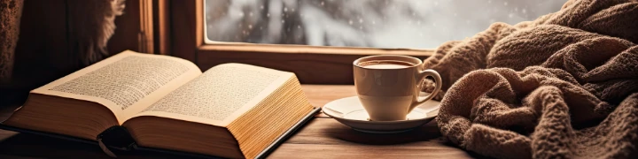 Buch, Tasse und Wolldecke am Fenster mit Blick auf winterliche Landschaft