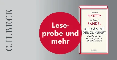 Banner Piketty Zukunft